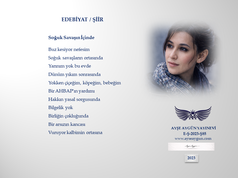 Soğuk Savaşın İçinde