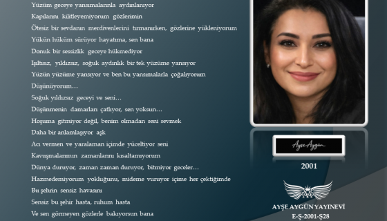 Yansımanın İçinde