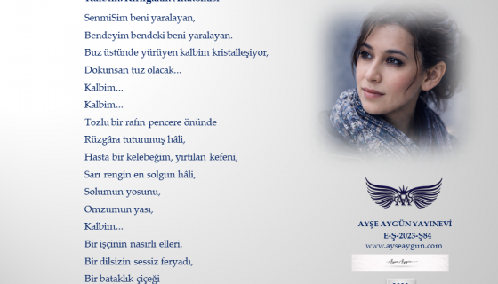 Kalbim: Kırılganın Anatomisi