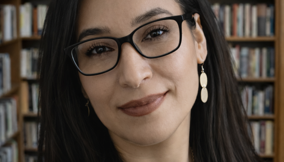 Pieter Brueghel ‘Mavi Pelerin’ Eser Analizia